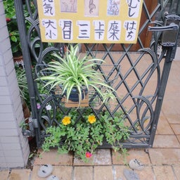 ひかりばこ