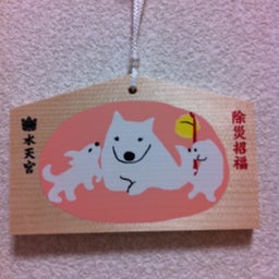 photo:01