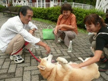 東北動物レスキュー　長崎の保健所の命を救う会の代表のブログ-れお