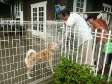 東北動物レスキュー　長崎の保健所の命を救う会の代表のブログ-れお