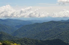 白神山地ツアーで能代山本地区の活性化すっぺ-2011年8月深緑の白神山地「二ツ森」最新情報10