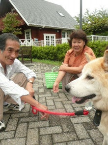 東北動物レスキュー　長崎の保健所の命を救う会の代表のブログ-reo