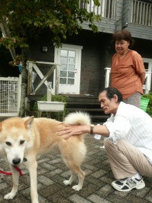 東北動物レスキュー　長崎の保健所の命を救う会の代表のブログ-reo