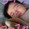 たきさんへの画像