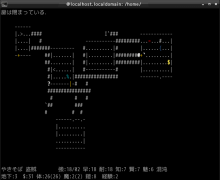 It&#39;s Automatic !-jnethack-tty-1
