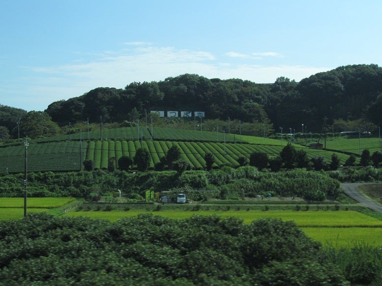 掛川のつま恋付近の茶畑画像(新幹線車窓の南側から撮った写真)の記事より