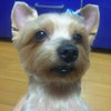 おつかれの画像