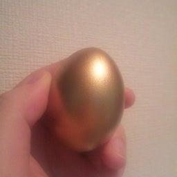 ＊RYO＊のBlog-金の玉子