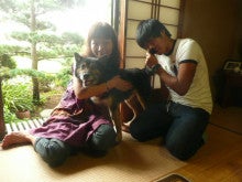 東北動物レスキュー　長崎の保健所の命を救う会の代表のブログ-ジジ