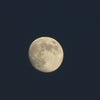 中秋の名月の画像