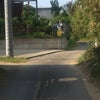 トトロの画像