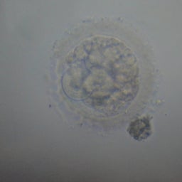 maman's~.BABY待ち～