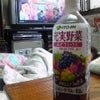 偽野菜生活の画像