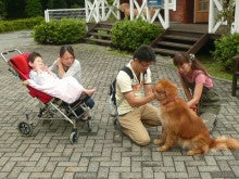 東北動物レスキュー　長崎の保健所の命を救う会の代表のブログ-トトロ再会
