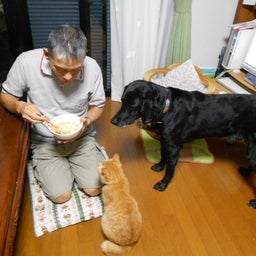 ジョーくんのわがままライフ