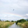 水郷の虹の画像