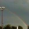 雨上がりの虹の画像