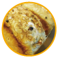 $金沢のおいしいパン【Su Franche】スーフランシュ-クルミとレーズンの食パン