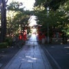 ボンドとお出かけを京都編4の画像