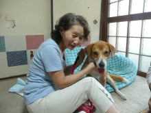 東北動物レスキュー　長崎の保健所の命を救う会の代表のブログ-セン譲渡
