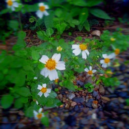 $momo日和～happy？life-DVC00775.jpg
