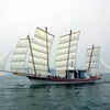 芦北観光うたせ船感謝祭の画像