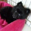 Sleepingの画像