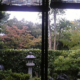 家庭教師のえーるのブログ-雨の圓徳院１