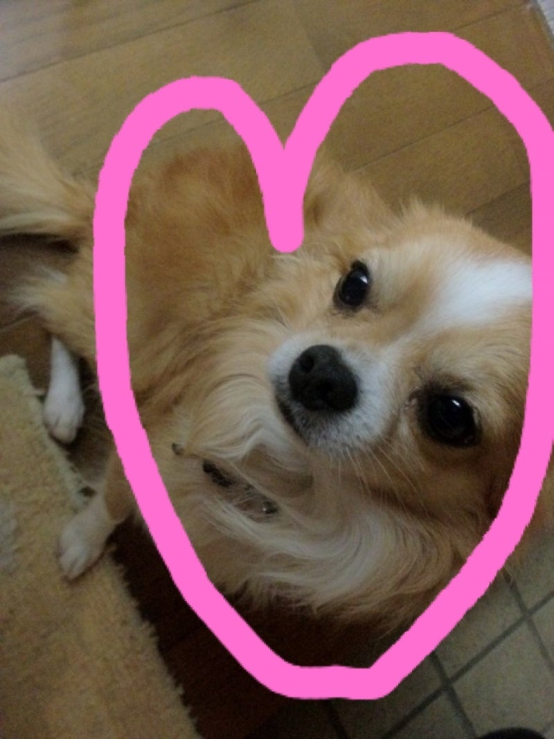 photo:01