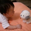もう少し！！の画像