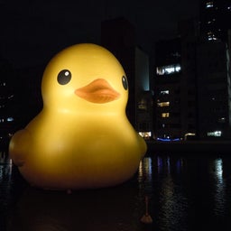 Vividな日々　人生を全力で楽しむ！！
