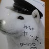 ダーリンの画像