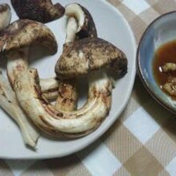 まゆづライフ♪-20111027_212215.jpg