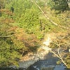 秋保で芋煮会♪の画像