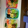 ご無沙汰３  ☆遠足☆の画像