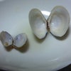2011/11/02の画像