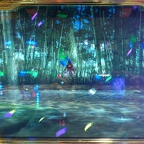 ブログ投稿画像