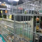 駒川商店街ぶらり歩き♪其の２の記事より