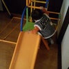 お家の中での画像
