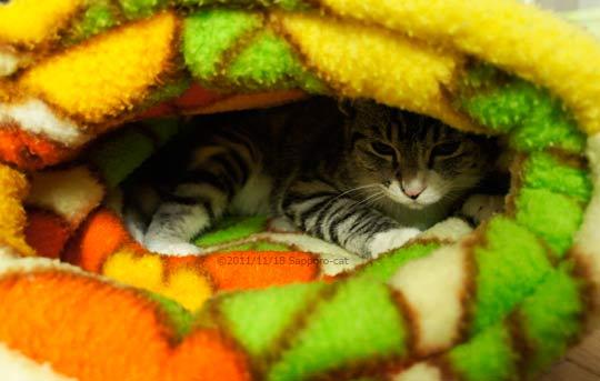 手作り 猫ドーム型ベッド 寝袋 さっぽろねこぶろぐ