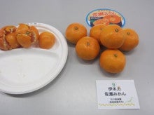 日本茶と野菜のブログ