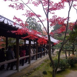 2011-11-28-06