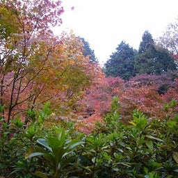 2011-11-28-08
