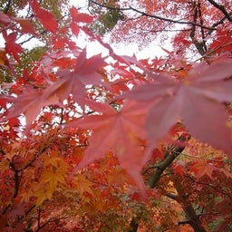 2011-11-28-07
