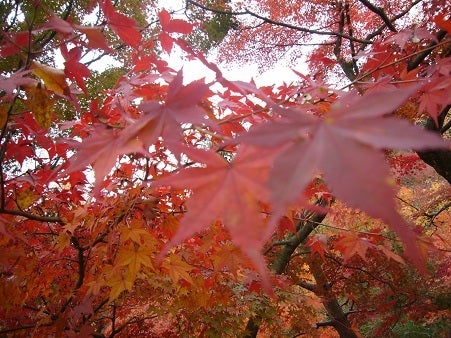 2011-11-28-07