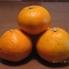 （≧∀≦）bの画像