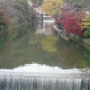 京都と奈良・パワースポット巡りまくりの画像