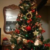 クリスマスツリー2011。の画像