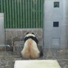 動物園♪の画像