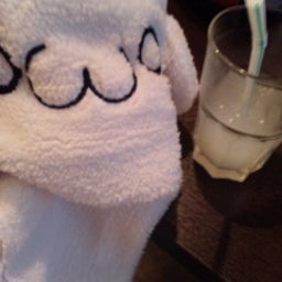ひなたぼっこ-111209_170416.jpg